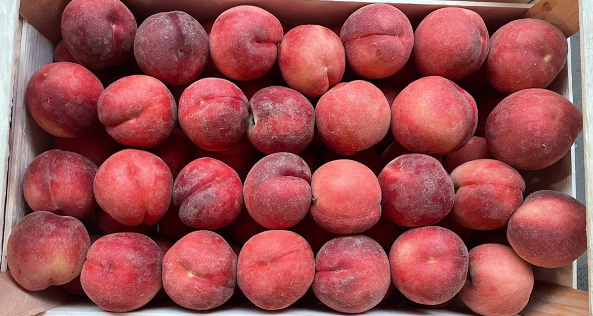 Pesche - Italia - 1,50/2,00 euro al chilogrammo